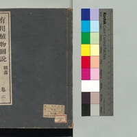 Generic placeholder image