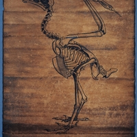 Generic placeholder image
