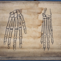 Generic placeholder image